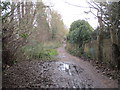 Muddy track adjacent to railway line