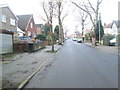 Belle Vue Avenue - looking towards Hollin Park Mount