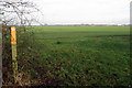 Footpath over the field to Kempston Hardwick