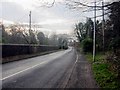 Millbank Road, Eyemouth