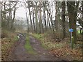 Track towards Ayton Castle