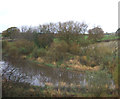 Lake, Lonsdale Park