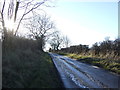 Track towards Murton Blue House