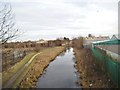 Canal Scene