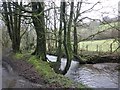 River Exe, near Riscombe