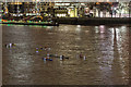 TQ3380 : Kayakers near Tower Bridge, London SE1 by Christine Matthews