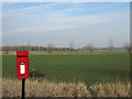 Field and post box on north side of A63