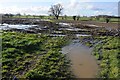 Waterlogged farmland