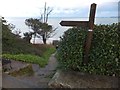 South West Coast Path, Carbis Bay