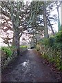 South West Coast Path, Carbis Bay