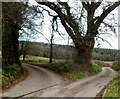 Fork in the road, Llanvair Discoed