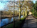 River Ver near Moor Mill pub