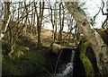 Waterfall on Howdale Moor & Brow Moor Open Access trail