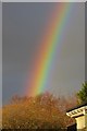 Rainbow, Bearsden