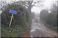 Mid Devon : Country Lane