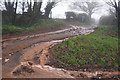 Mid Devon : Dorweek Cross