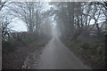 Mid Devon : Country Lane