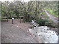 A full Buddle Brook, Coombe Valley Local Nature Park, Teignmouth