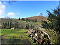 Looking across a field towards Pinchaford and Dartmoor