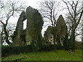 Ruins of Llantrithyd Place