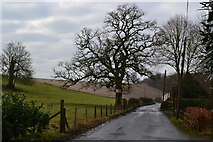 SU6043 : Lane beside rolling fields at Axford by David Martin
