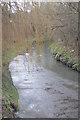 SO9894 : River Tame upstream of Holloway Bank by John M