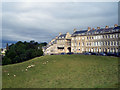 Sheep below Lansdown Crescent