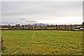 Field adjacent to the Mug House, Claines, Worcs