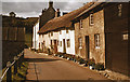 Branscombe cottages ca 1960