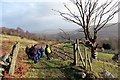 Llwybr ceffyl Trebannws bridleway