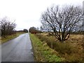 Old Doogary Road, Tattykeel