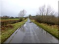 Wet along the old Doogary Road, Doogary