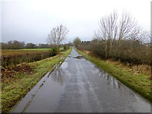 H4769 : Wet along the old Doogary Road, Doogary by Kenneth  Allen