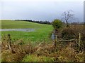 Water-logged fields, Tattykeel