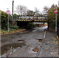 South side of Monastery Road railway bridge, Neath Abbey