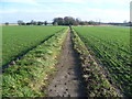 Footpath from Sandwich