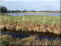 View from the White Cliffs Country Trail near Worth