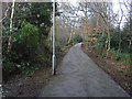 Path, South Hill estate