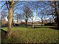 Trees and grass by Avonmouth Way, Henbury