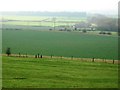 Fields near South Carlton