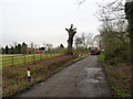 Field Lane, Widmerpool