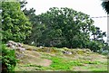 Rocks at Bodnant