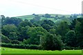 Countryside east of Bodnant