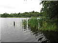 H6303 : The northern end of Tullyloocan Lough by Eric Jones
