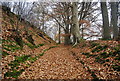 Footpath, West Leithe