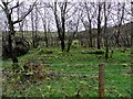 Copse, Altishane