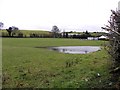 Minor flooding in a field, Lisnaragh Irish