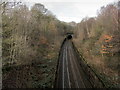 Arthington Tunnel - South Portal