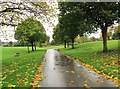 SO8886 : King George V Park - path, Wordsley, Stourbridge by P L Chadwick