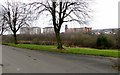 Heaton Cemetery